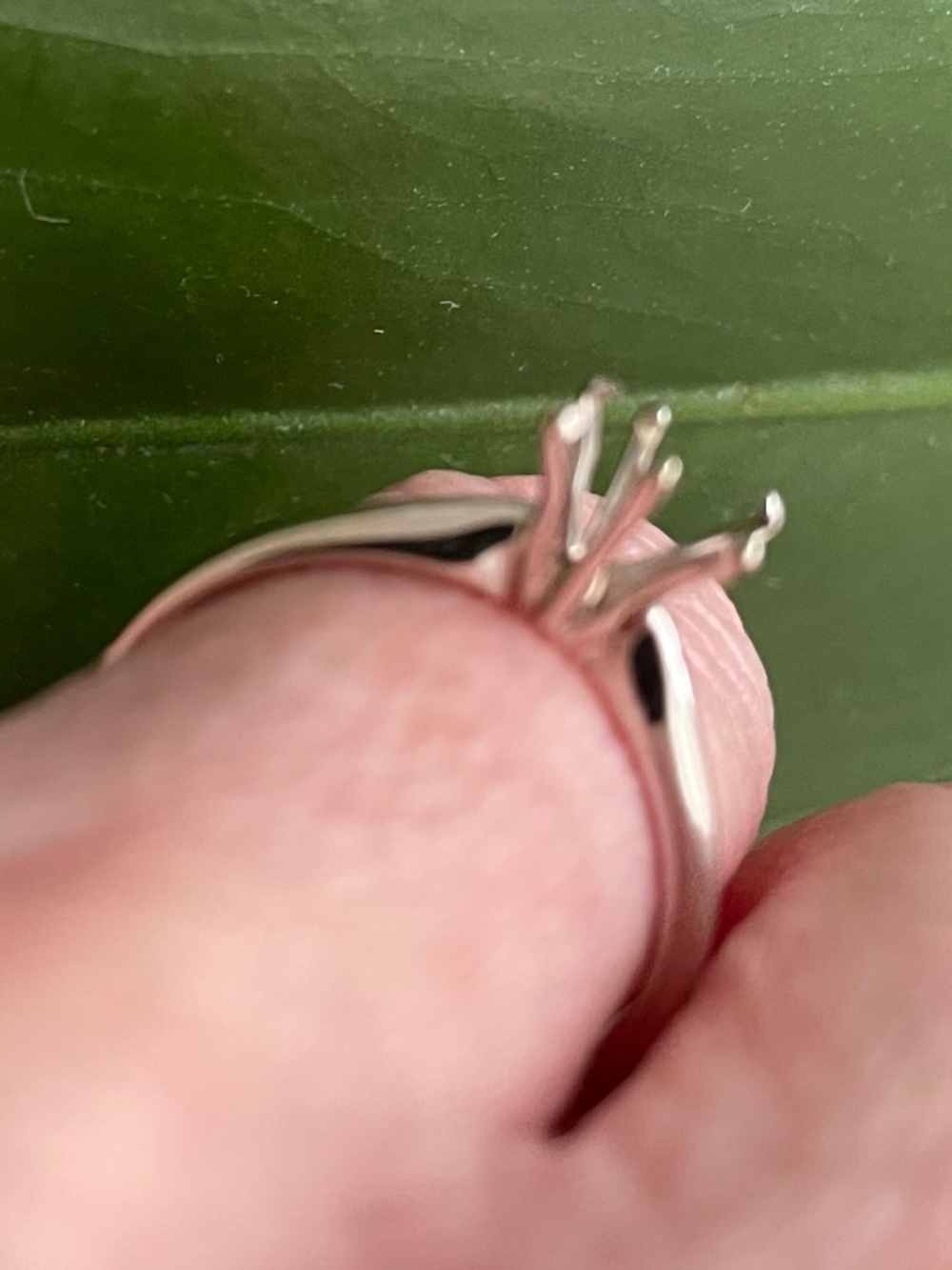 White Gold 6-prong Solitaire Ring Setting / Ring Blank, Size 5.5 - Picture 3 of 9